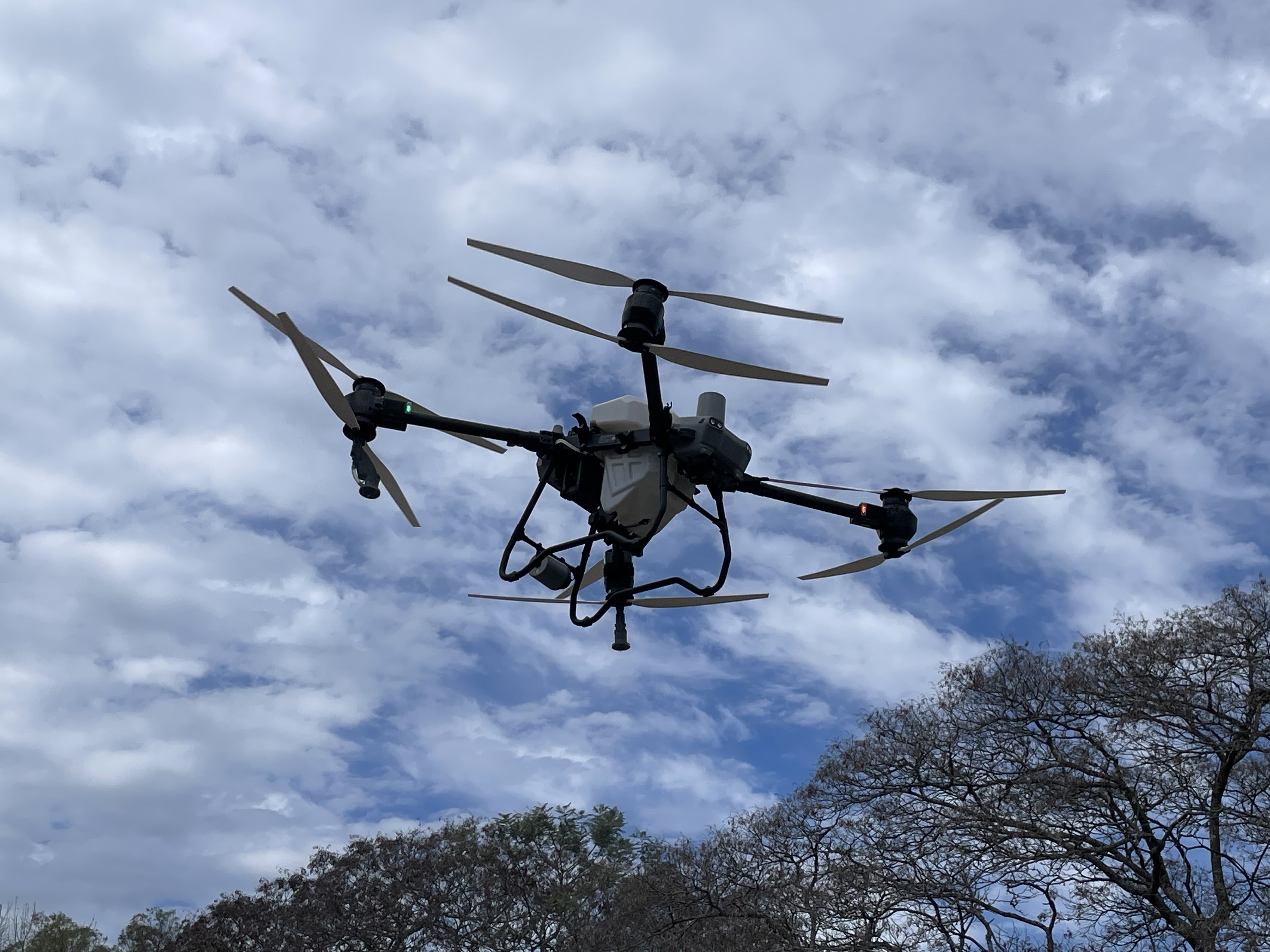 DJI Agras T50 agricultural spray drone field operation